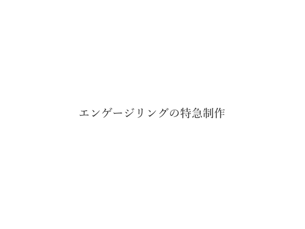 エンゲージリング特急制作費用お支払いページ